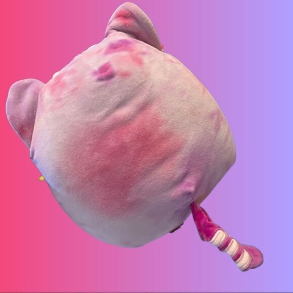 NWT Caeli the Cat Squishmallow 8” - Picture 3 of 4